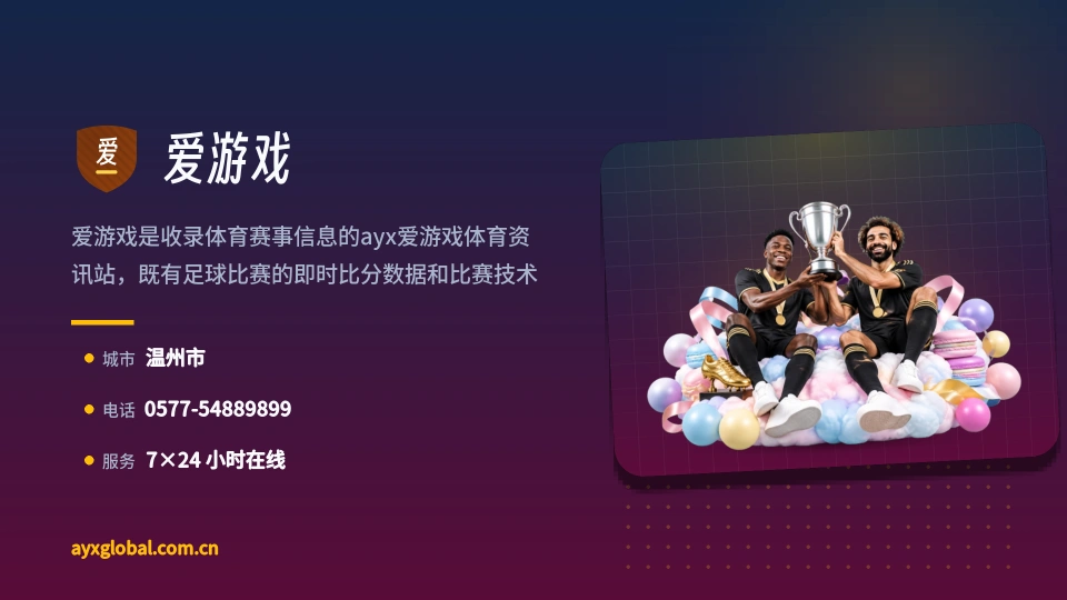 爱游戏简介